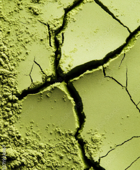 AMLA | Premium Bio Haarpflegepulver für Haarwachstum, kräftige Wurzeln & natürlichen Glanz